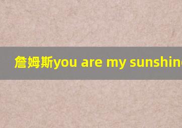 詹姆斯you are my sunshine图片